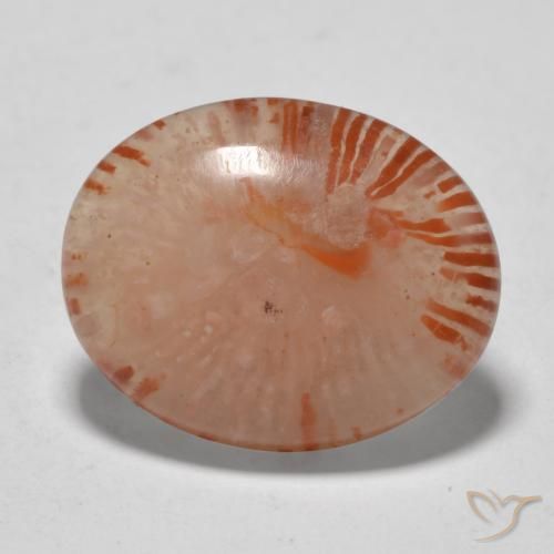 Coral Multicolorido Natural 9.94ct, oval, Translúcido