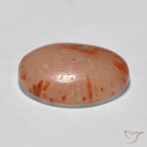 Coral Multicolorido Natural 9.94ct, oval, Translúcido