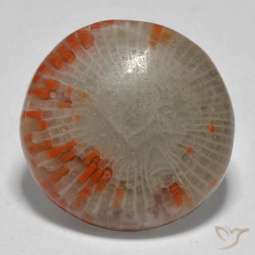 13.11ct Natural Multicolorido Coral, Redondo, Translúcido