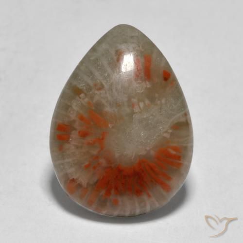 5.31ct Natural Multicolorido Coral, Formato de pêra, Translúcido