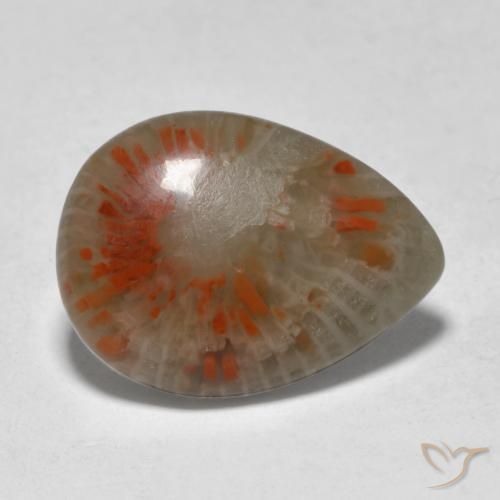 Coral Multicolorido Natural 5.31ct, Formato de pêra, Translúcido