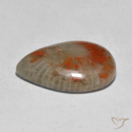 Coral Multicolorido Natural 5.31ct, Formato de pêra, Translúcido