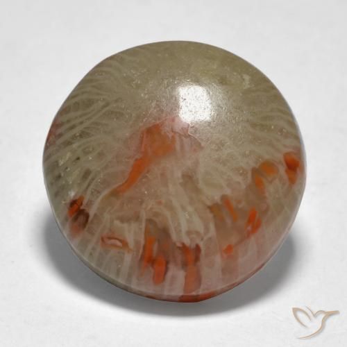 9.21ct Natural Multicolorido Coral, Redondo, Translúcido