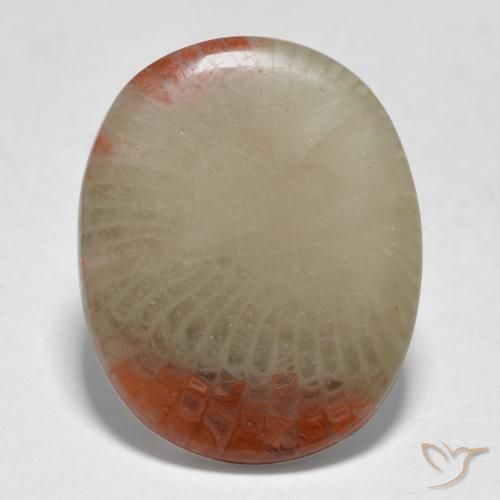 5.98ct Natural Multicolorido Coral, oval, Translúcido