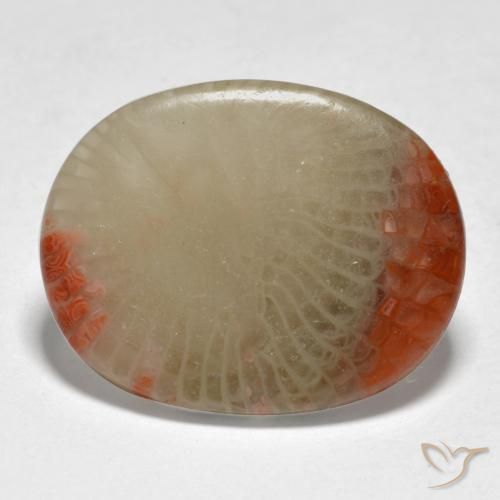 Coral Multicolorido Natural 5.98ct, oval, Translúcido