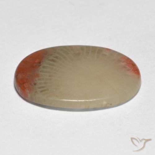 Coral Multicolorido Natural 5.98ct, oval, Translúcido