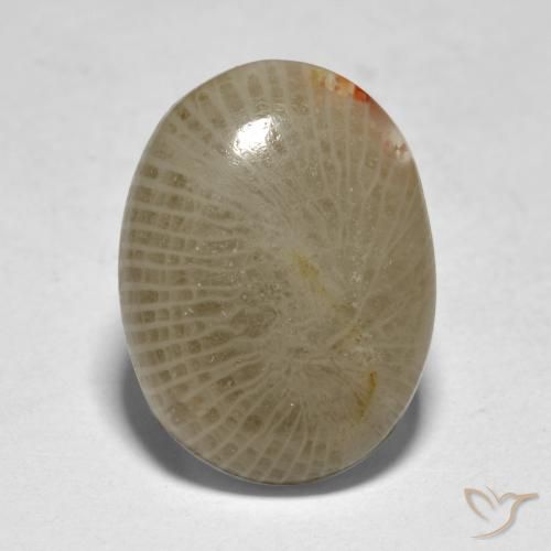 7.50ct Natural Multicolorido Coral, oval, Translúcido