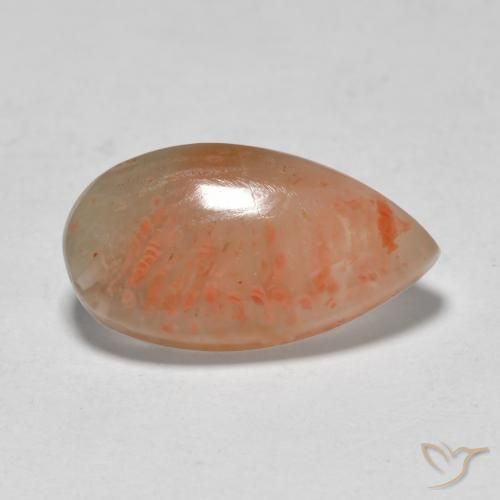 Coral Multicolorido Natural 5.79ct, Formato de pêra, Translúcido