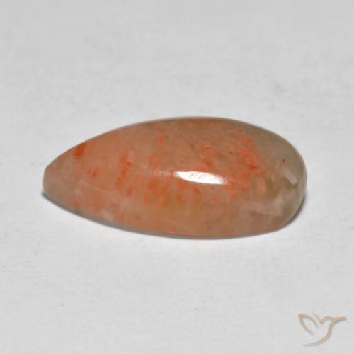 Coral Multicolorido Natural 5.79ct, Formato de pêra, Translúcido