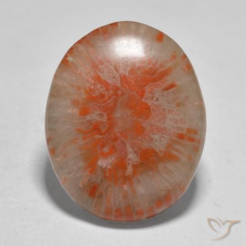 11.21ct Natural Multicolorido Coral, oval, Translúcido