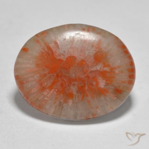 Coral Multicolorido Natural 11.21ct, oval, Translúcido