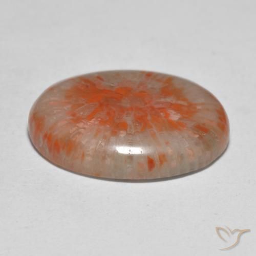 Coral Multicolorido Natural 11.21ct, oval, Translúcido