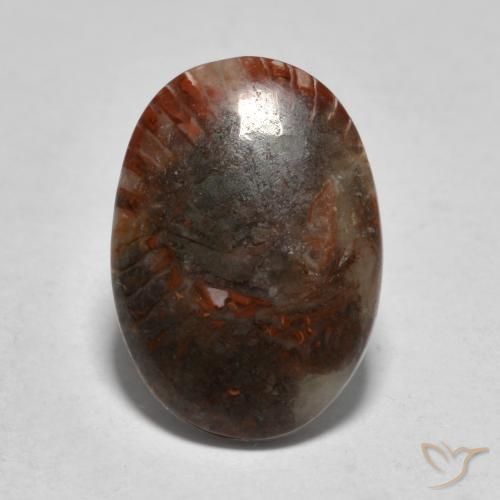 3.57ct Natural Multicolorido Coral, oval, Translúcido