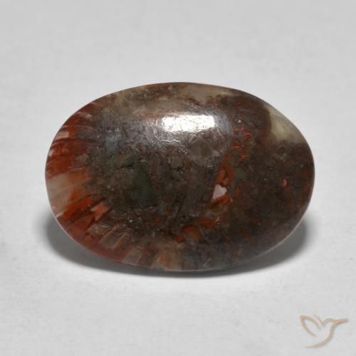 Coral Multicolorido Natural 3.57ct, oval, Translúcido