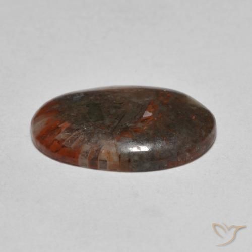 Coral Multicolorido Natural 3.57ct, oval, Translúcido