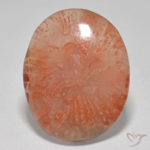 12.52ct Natural Multicolorido Coral, oval, Translúcido
