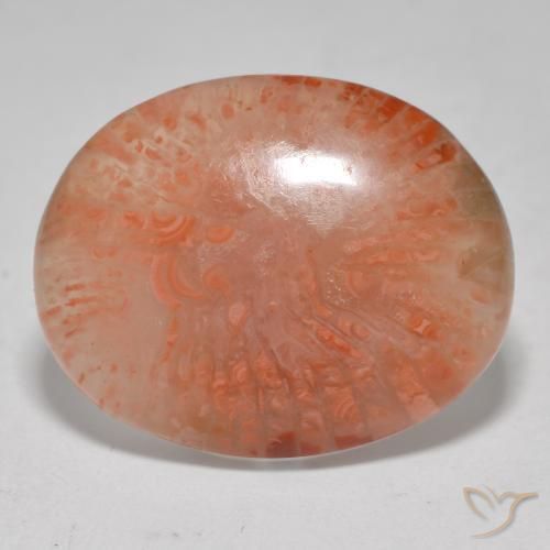 Coral Multicolorido Natural 12.52ct, oval, Translúcido