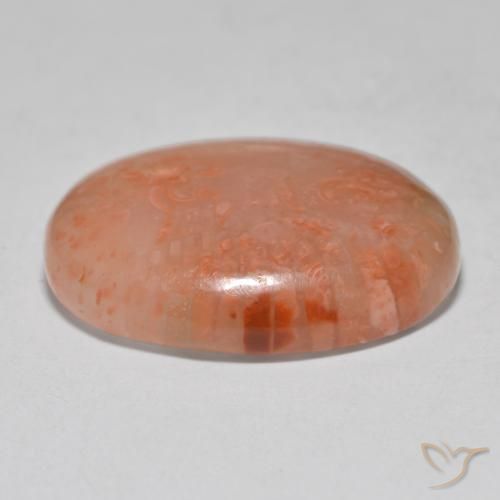 Coral Multicolorido Natural 12.52ct, oval, Translúcido