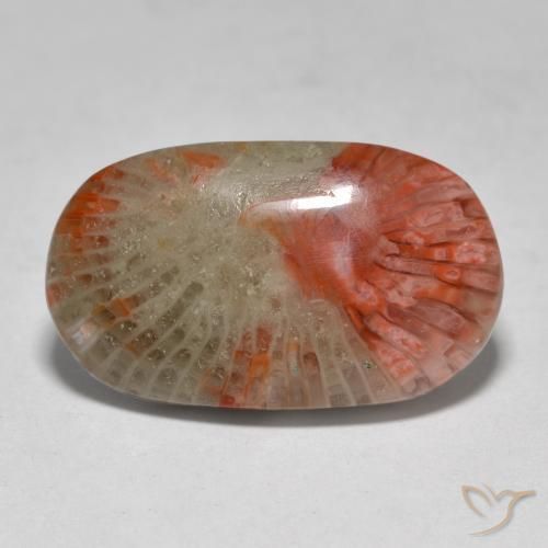 7.97ct Natural Multicolorido Coral, oval, Translúcido