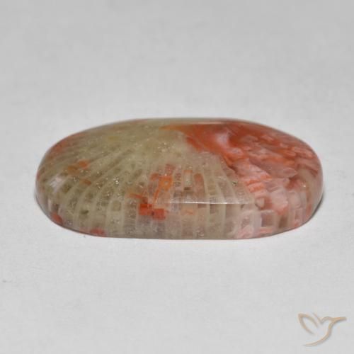 Coral Multicolorido Natural 7.97ct, oval, Translúcido