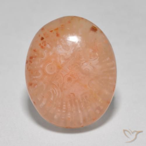8.68ct Natural Multicolorido Coral, oval, Translúcido