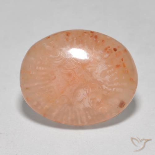 Coral Multicolorido Natural 8.68ct, oval, Translúcido