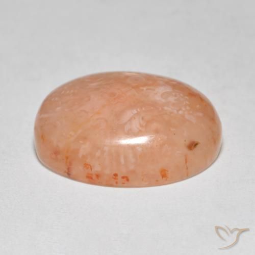 Coral Multicolorido Natural 8.68ct, oval, Translúcido