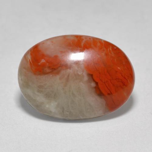 Coral multicolorido natural 4,58ct, corte oval, translúcido