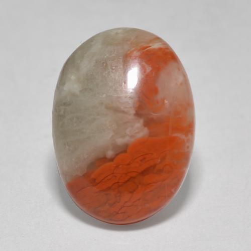 Coral multicolorido natural 4,58ct, corte oval, translúcido