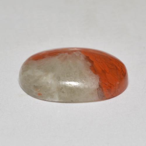 Coral multicolorido natural 4,58ct, corte oval, translúcido
