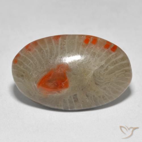 9.31ct Natural Multicolorido Coral, oval, Translúcido