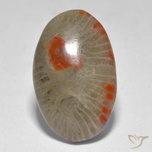Coral Multicolorido Natural 9.31ct, oval, Translúcido