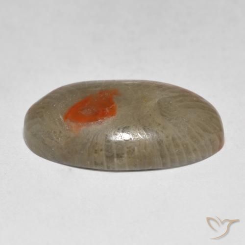 Coral Multicolorido Natural 9.31ct, oval, Translúcido