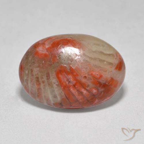 Coral Multicolorido Natural 6.07ct, oval, Translúcido