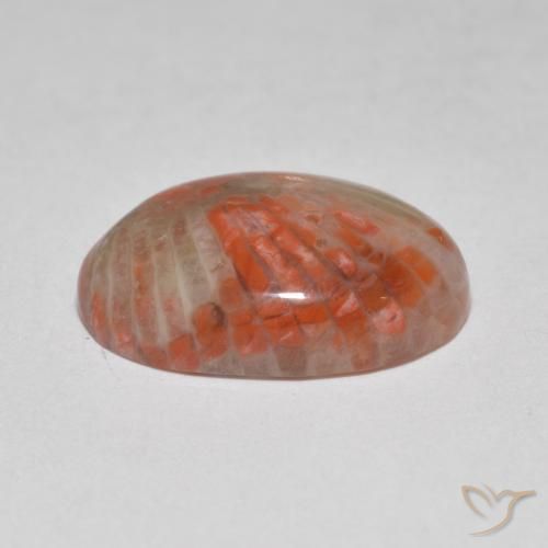 Coral Multicolorido Natural 6.07ct, oval, Translúcido
