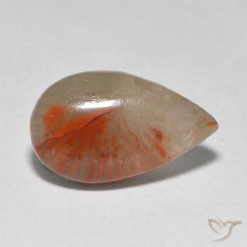 Coral Multicolorido Natural 4.61ct, Formato de pêra, Translúcido