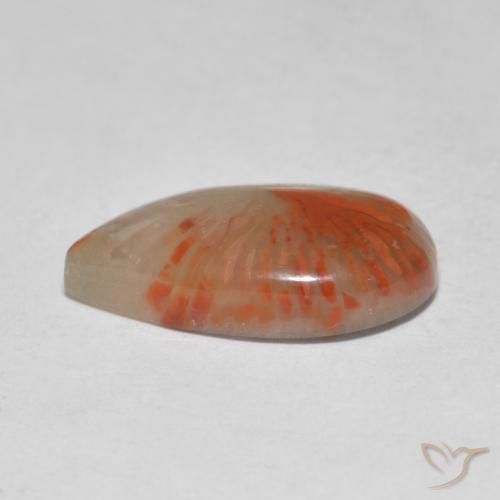 Coral Multicolorido Natural 4.61ct, Formato de pêra, Translúcido
