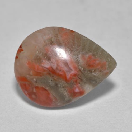 Coral multicolorido natural 3,60ct, formato de pêra, translúcido