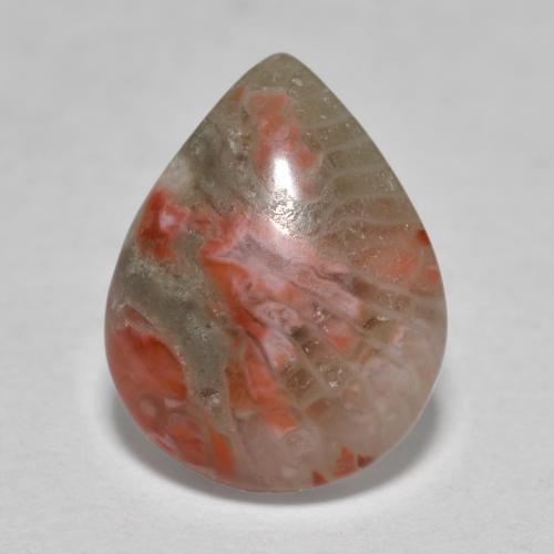 Coral multicolorido natural 3,60ct, formato de pêra, translúcido