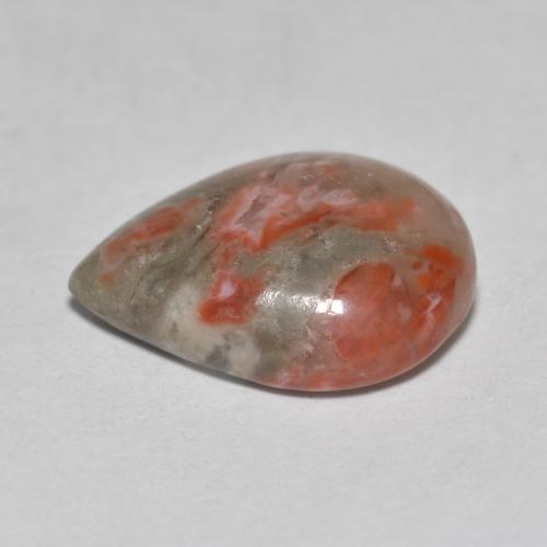Coral multicolorido natural 3,60ct, formato de pêra, translúcido