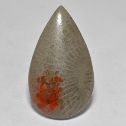 Coral multicolorido natural 10,70ct, formato de pêra, translúcido
