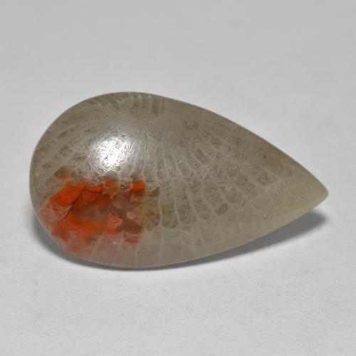 Coral multicolorido natural 10,70ct, formato de pêra, translúcido