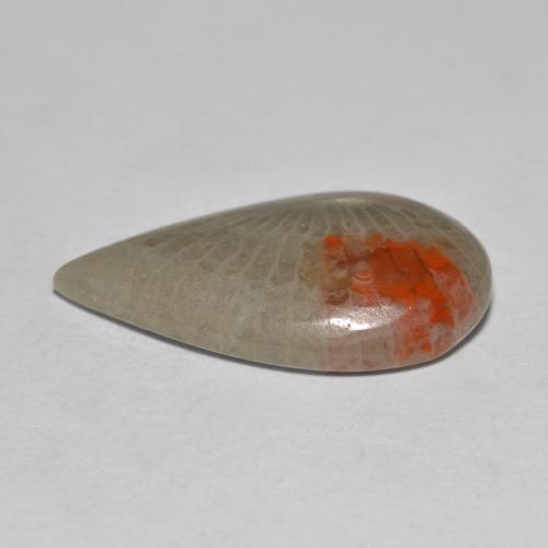 Coral multicolorido natural 10,70ct, formato de pêra, translúcido