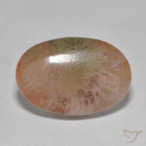 7.25ct Natural Multicolorido Coral, oval, Translúcido
