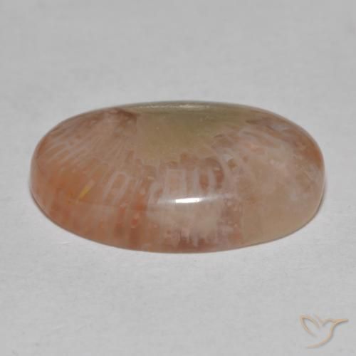 Coral Multicolorido Natural 7.25ct, oval, Translúcido