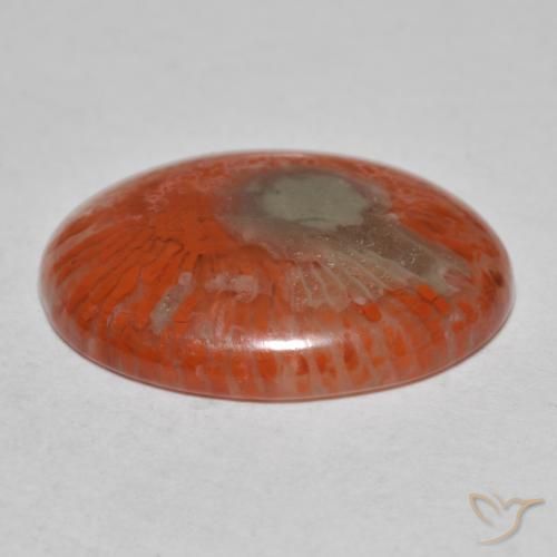 Coral multicolorido natural 8,54ct, corte oval, translúcido