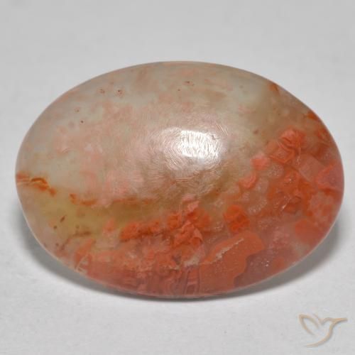 8.13ct Natural Multicolorido Coral, oval, Translúcido