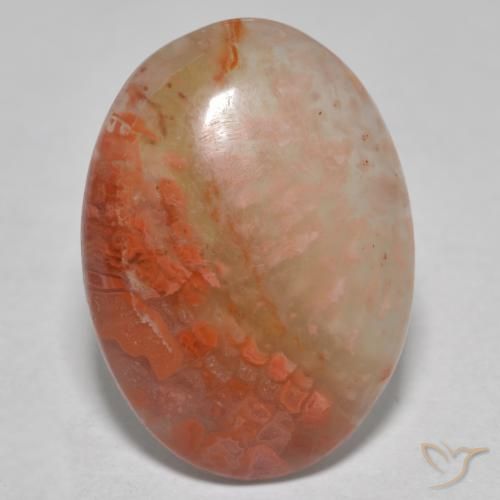 Coral Multicolorido Natural 8.13ct, oval, Translúcido