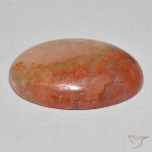 Coral Multicolorido Natural 8.13ct, oval, Translúcido
