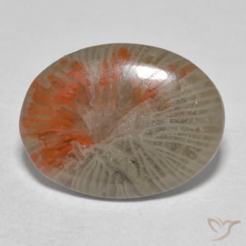 4.11ct Natural Multicolorido Coral, oval, Translúcido